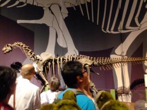 160521（土）-02【0900～1000】上野公園国立科学博物館　特別展「恐竜博2016」スピノサウルス他《上野-嫁》_053