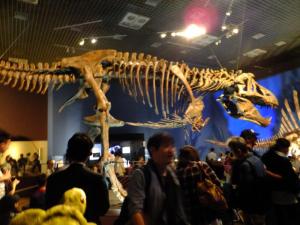 160521（土）-02【0900～1000】上野公園国立科学博物館　特別展「恐竜博2016」スピノサウルス他《上野-嫁》_099