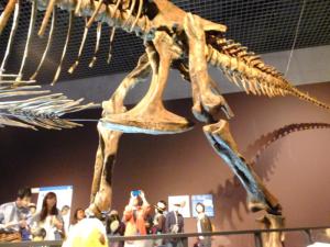 160521（土）-02【0900～1000】上野公園国立科学博物館　特別展「恐竜博2016」スピノサウルス他《上野-嫁》_147