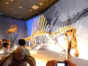160521（土）-02【0900～1000】上野公園国立科学博物館　特別展「恐竜博2016」スピノサウルス他《上野-嫁》_164
